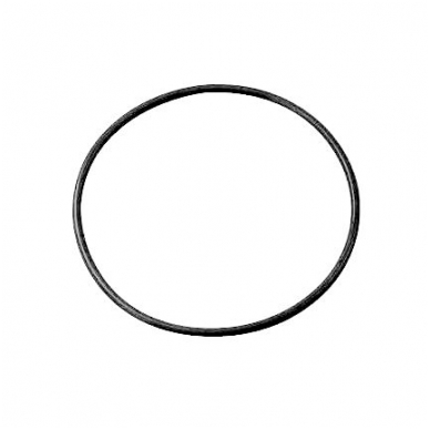 Sealing ring