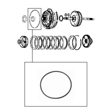 O-Ring