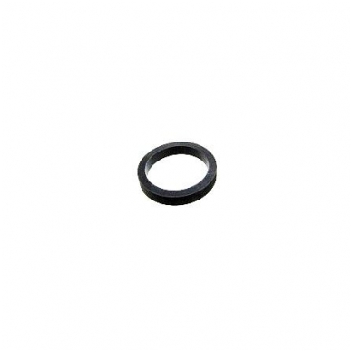 Sealing ring