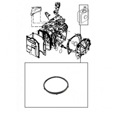 Sealing ring 1