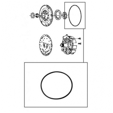 O-Ring 2