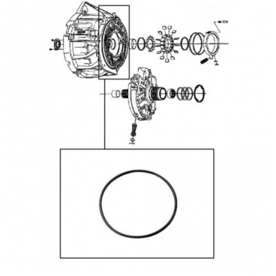 O-Ring 1