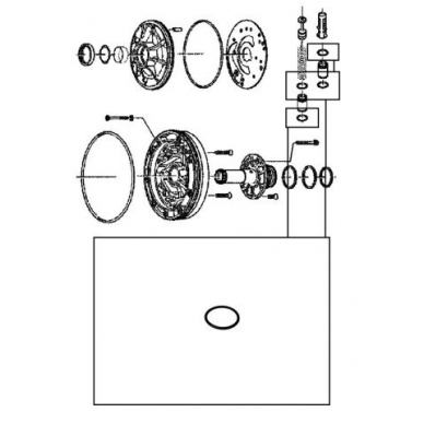 O-Ring 1