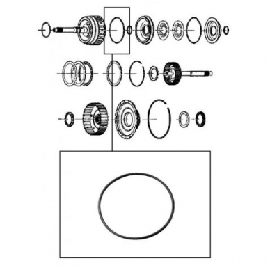 O-Ring 1