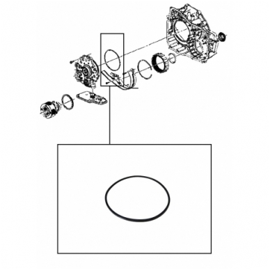 Sealing ring 1