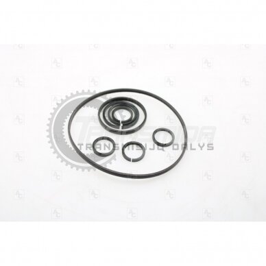 SEALING RING KIT