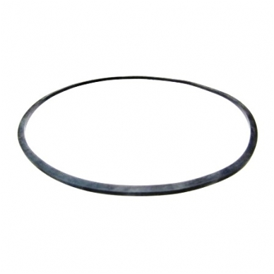 Sealing ring