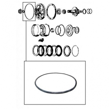 Sealing ring 1