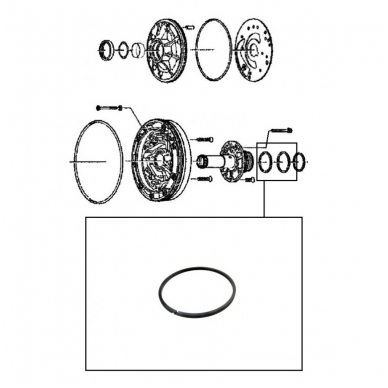 Sealing ring 1