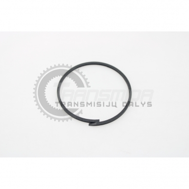 Sealing ring