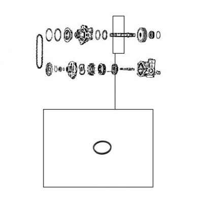 Sealing ring 1