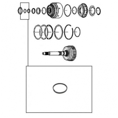 Teflon ring 2