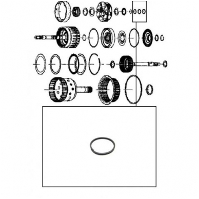 O-Ring 5