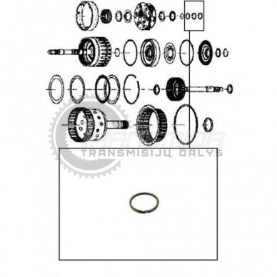 Sealing ring 1