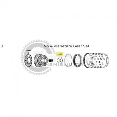 Teflon Ring 1