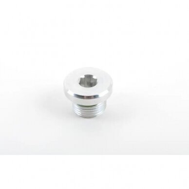 Screw Plug 1