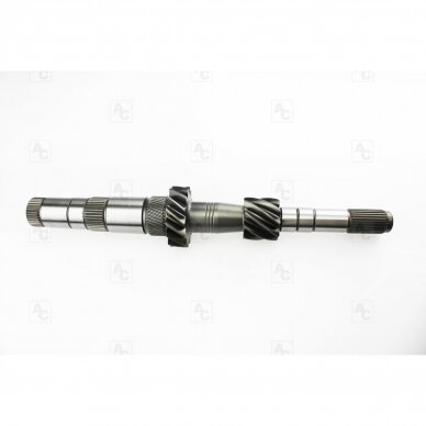 Input shaft